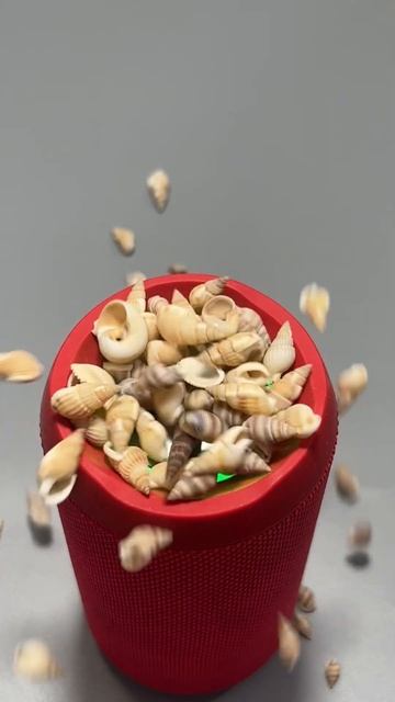 Beat to the rhythm of the music 🐚 #satisfyingvideo #basstest #speaker  #asmr  #funny