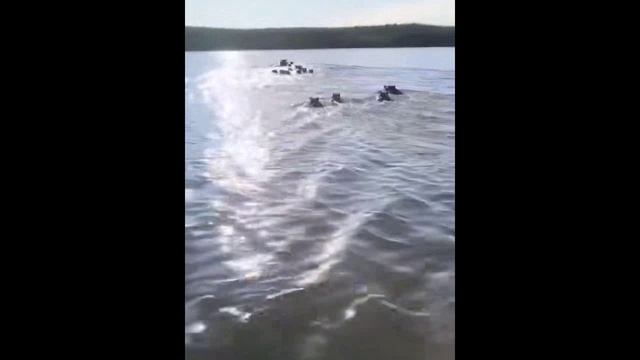 Массовый побег чубо-ухилянтов, но почему-то через Волгу