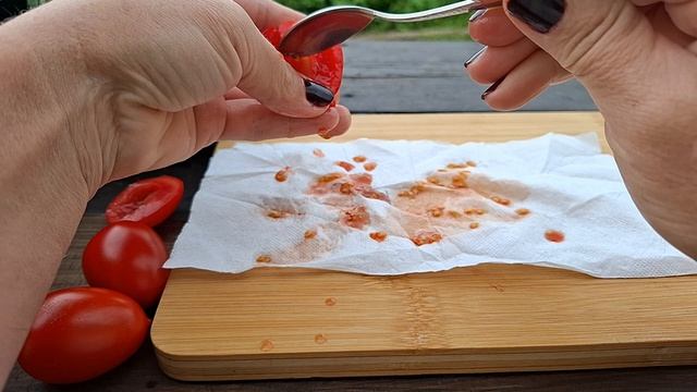 о сидерации..лёгкий способ сбора семян у томатов.. арбузик