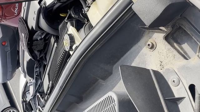 share WF0HYDP-WF0RXXGCDRAG21196