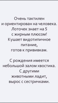 💚 Малыш, спасенный с помойки, ищет семью! 🏡 🐈