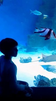 Москвариум, ВДНХ 21.08.2025