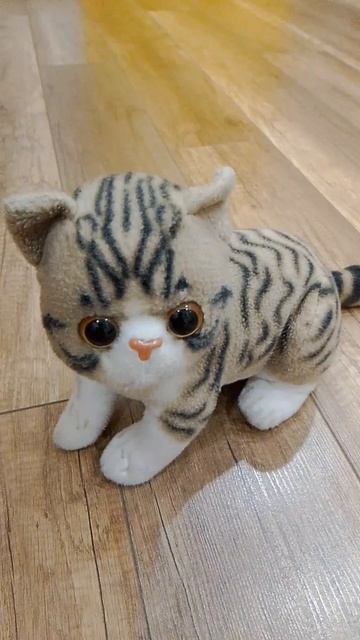 мяу мя мя мяу