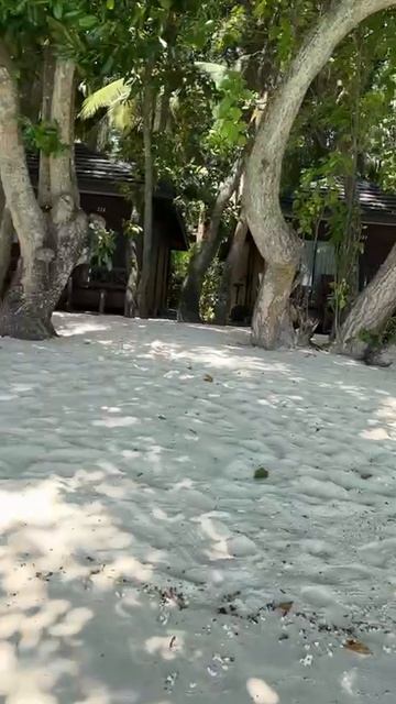 Красота Индийского океана на Мальдивах