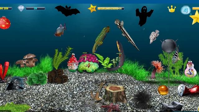 Моим игровым Аквариумам 1 год и 23 дня (388)