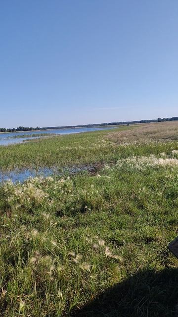 ОЗ. Мартышкино Черлакский район Омской области.