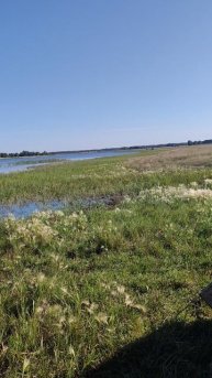 ОЗ. Мартышкино Черлакский район Омской области.