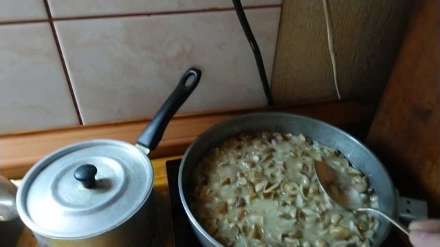 Первые маслята!