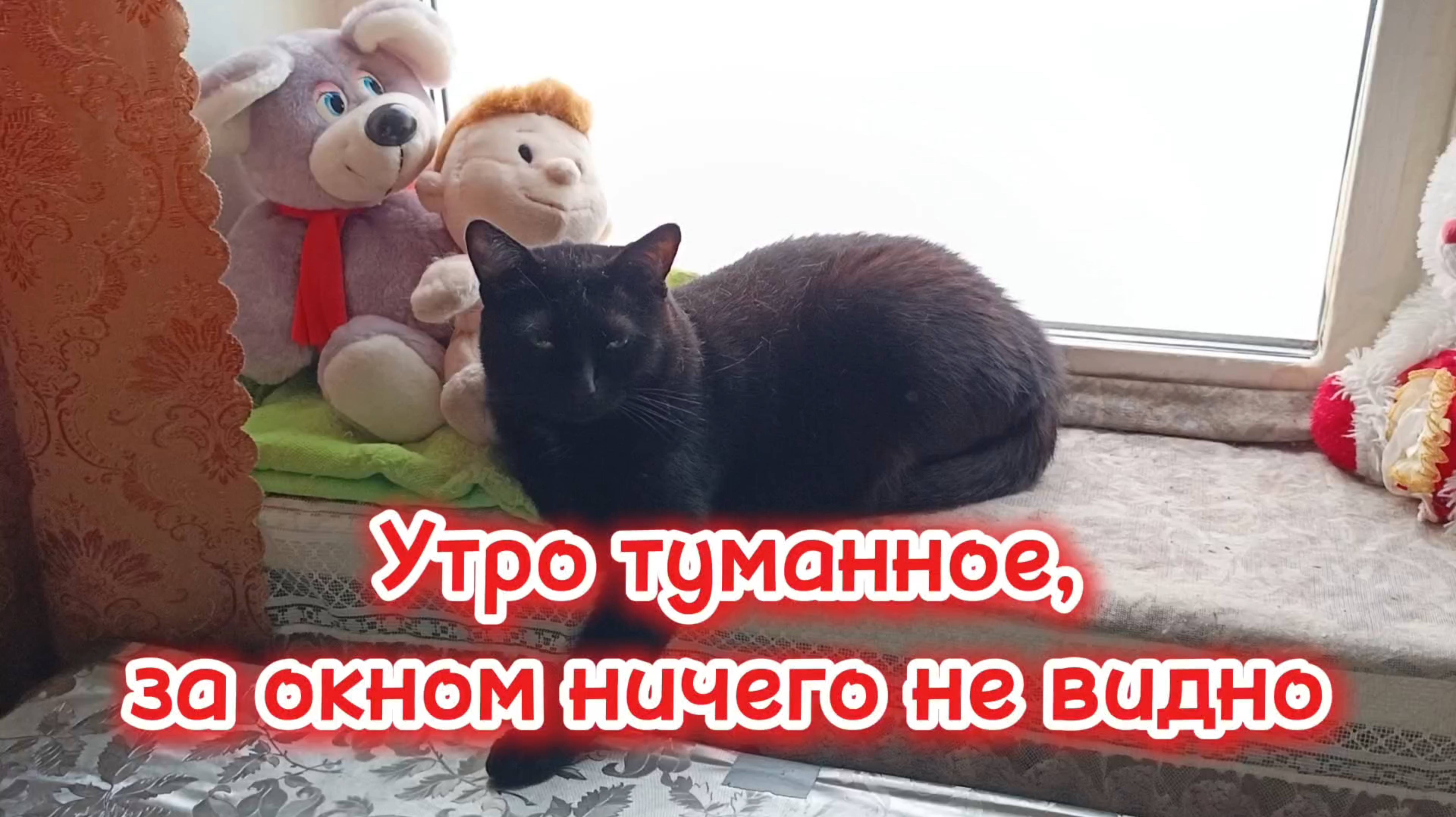 Утро туманное. За окном ничего не видно.