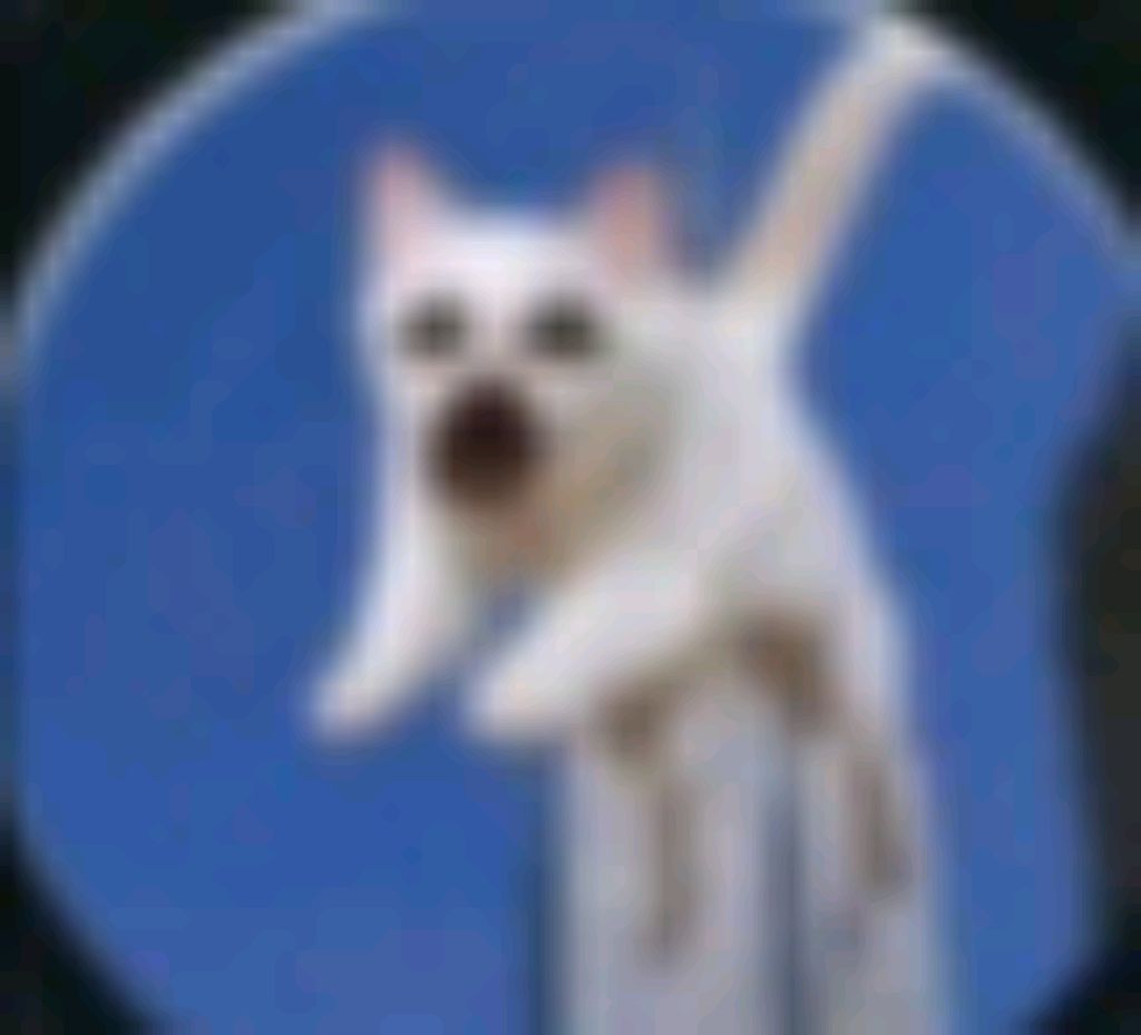 общаюсь с подписчиками.