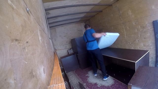 Суета в будке