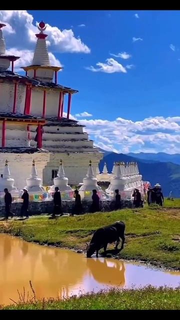 Тибет, Индия, Непал, Бутан и другие страны уже ждут тебя ✈️