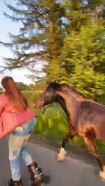 утренняя пробежка #shorts