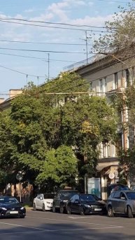 Утро Алматы. 22.08.2025