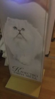 Интерактивный стенд