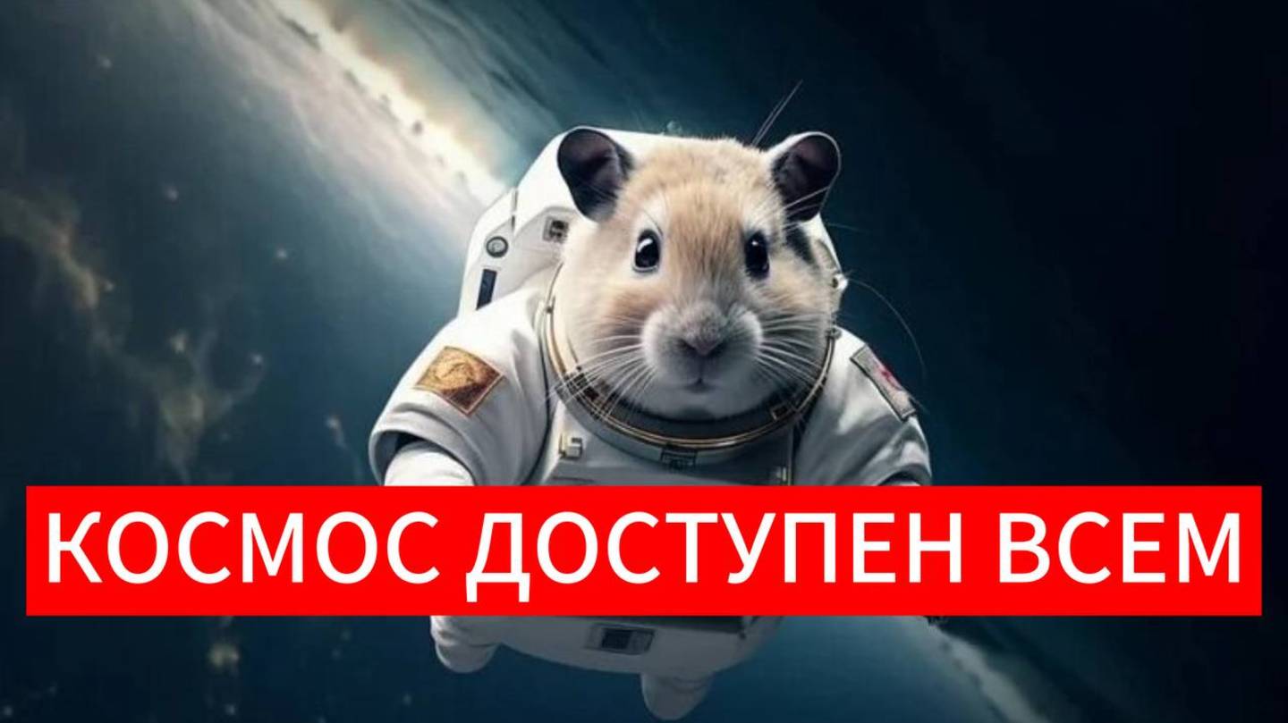 Космос доступен всем, как людям, так и животным