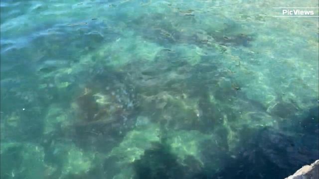 Крым Ялта пляж Sky Beach сегодня 22 августа 2025. Море и погода в Ялте сейчас. Обстановка