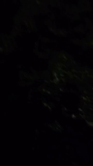 Нарушение тишины 06 июля 2025 г на ул. Герцена 114 (на заборе пишут 112)