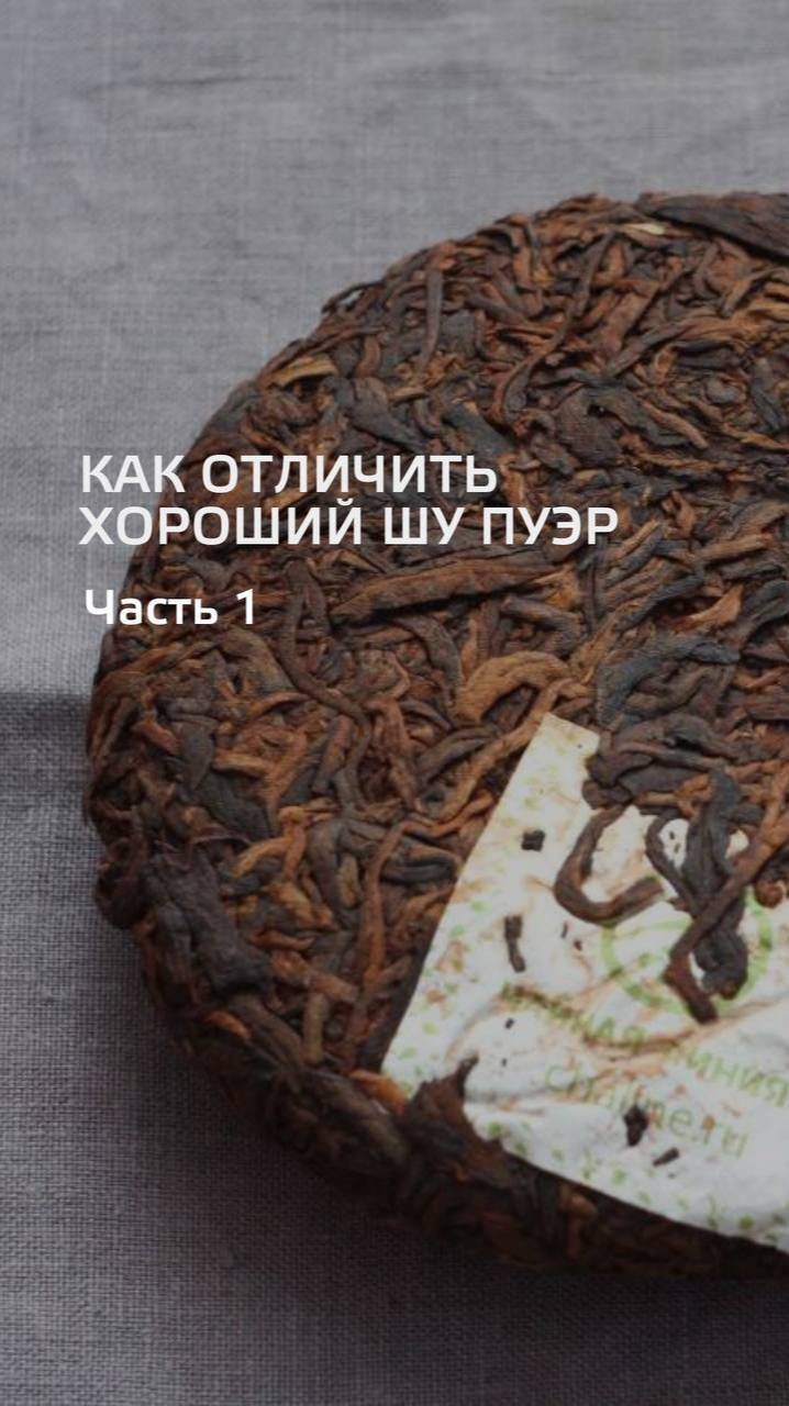 Можно ли выбрать хороший шу пуэр только по внешнему виду?  #Shorts