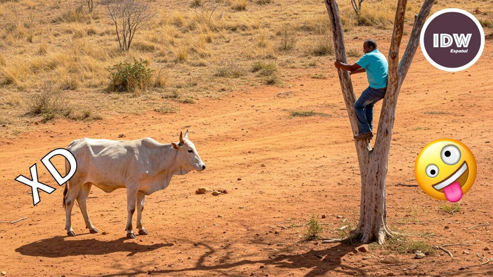 ЕСЛИ ТЫ СМЕЕШЬСЯ, ТЫ ТЕРЯЕШЬ УРОВЕНЬ  🤣 СМЕЮЩИЕСЯ ВИДЕО 😎МЕКСИКАНСКИЙ ВИРУСНЫЙ ЮМОР🤣