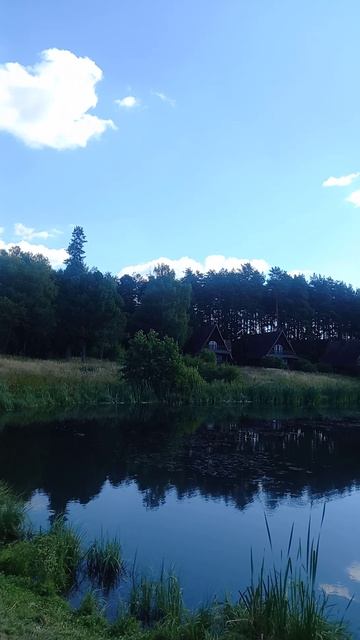 На прогулке #природа #путешествия