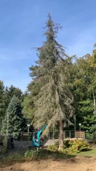 Снос дерева мини-экскаватором SUNWARD SWE18UF