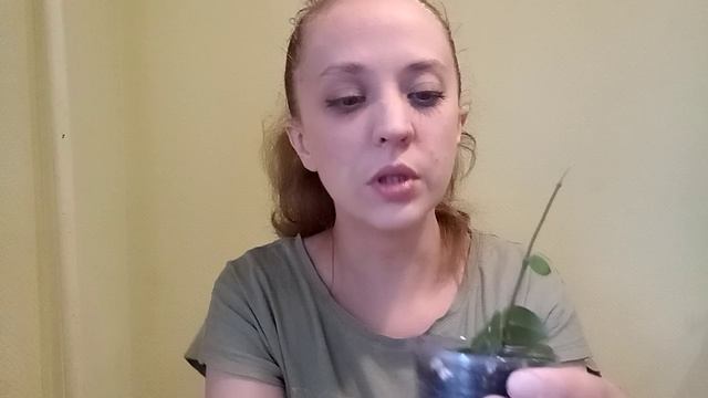 Хойи!
