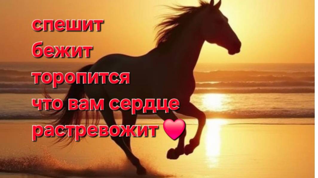 Спешит , бежит , торопится