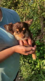 скибиди в городе
сцена 2
дубль 2