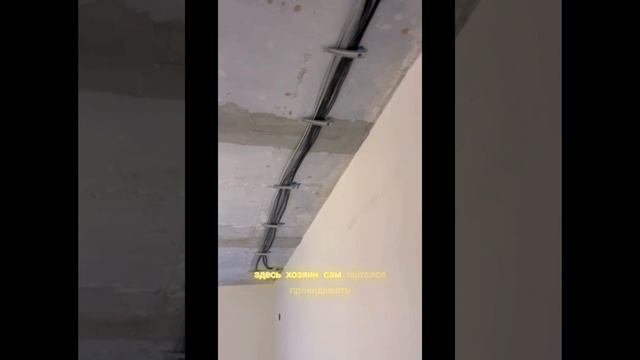Поэтапная замена электропроводки в жилой квартире.
Фирма Электрик
Заявку на полную или частичную зам