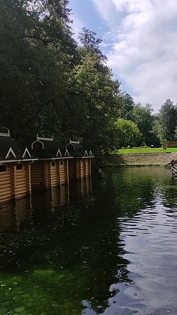 1000199593.Источник