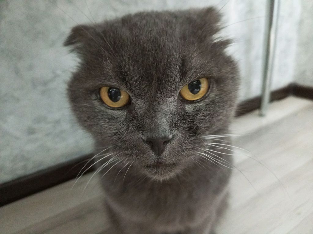 🎇 наконец-та стрим 🎇