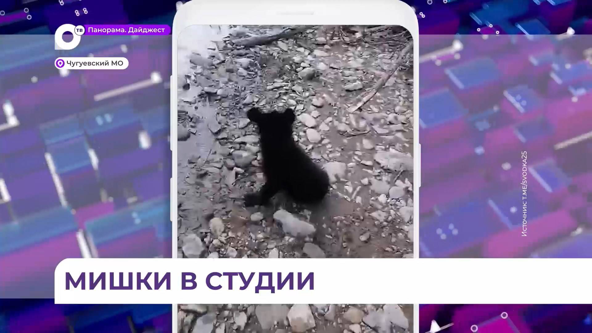 Собаку неопределённой породы встретили отдыхающие на берегу реки Журавлёвка в Приморье