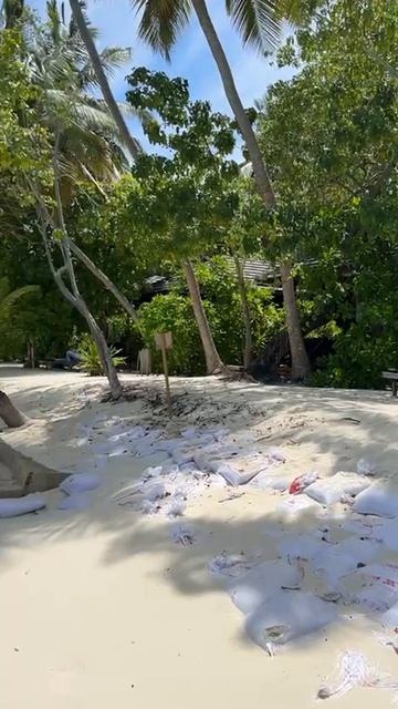 VID_20250822_194050_404