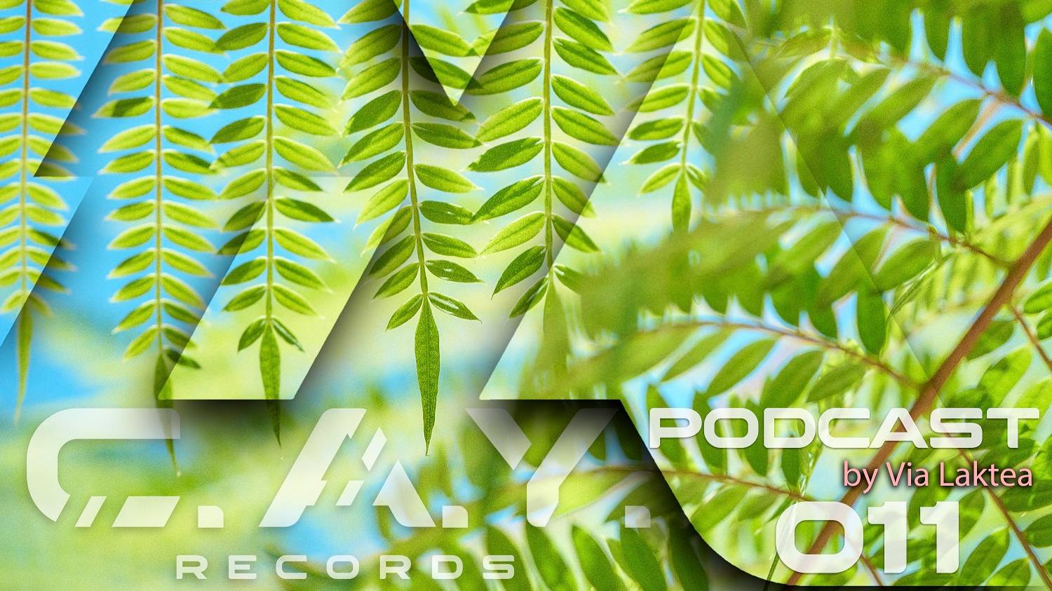 (011) C.A.Y. Records Podcast By Via Laktea