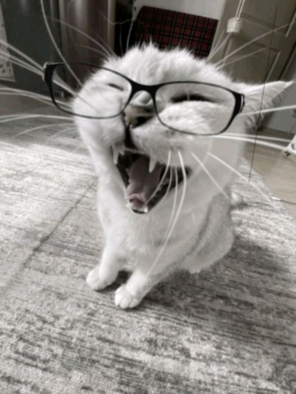 ПИШИТЕ ВОПРОСЫ Я БУДУ ОТВЕЧАТЬ