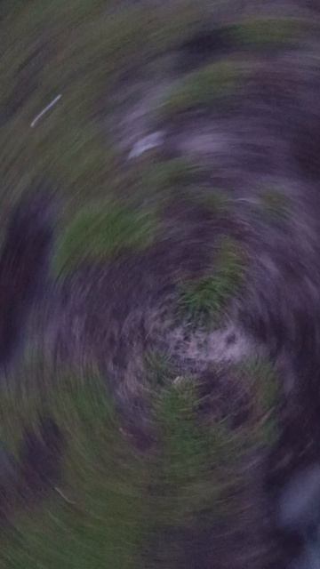 когда не можешь поиграть, на ли нормально в бравл стар