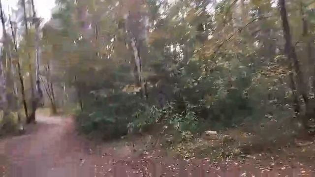 23-08-2025 По лесной тропинке к озеру