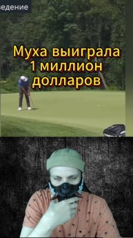 Золотая МУХА