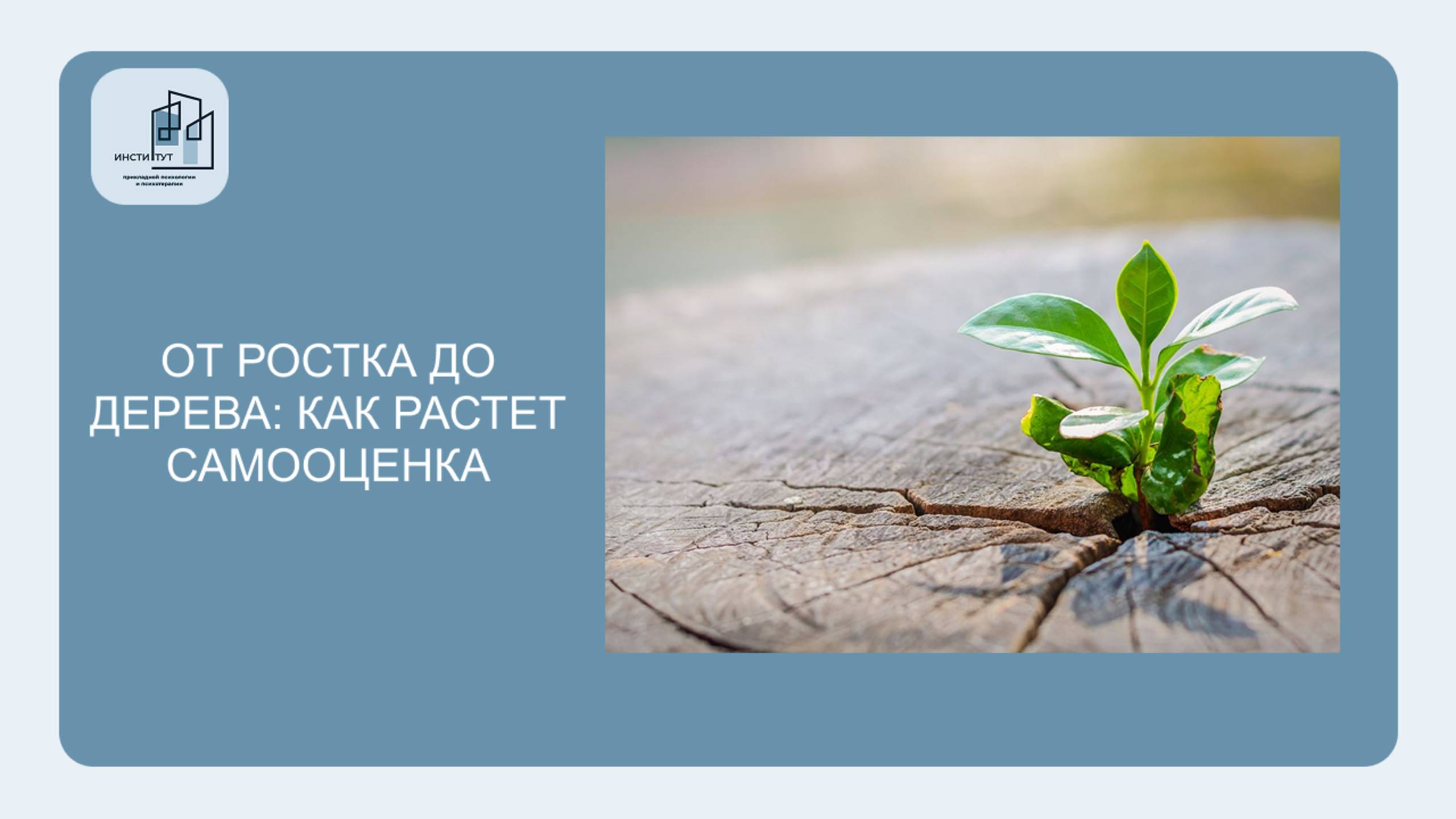 От ростка до дерева: как растет самооценка