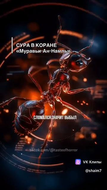 Ислам, Наука, NUR