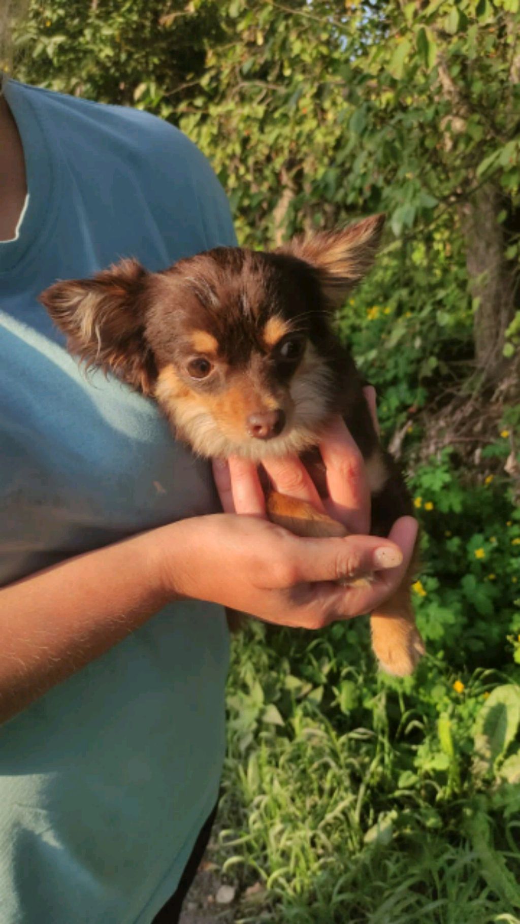 спасибо большое вам!