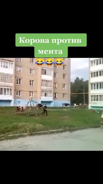 Бурёнка против мента 2024