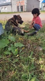 Однажды в деревне