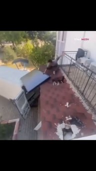 Всё невозможно просчитать.