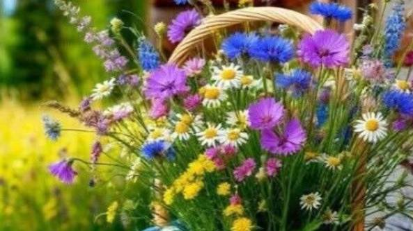 Красивые открытки с добрым воскресным утром 🤗