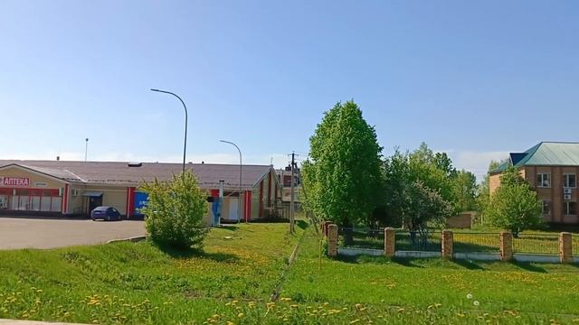 Совхоз Мамадышский / 2025