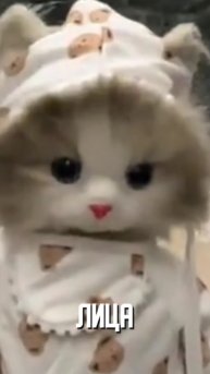 Лучшие тренды и хештеги