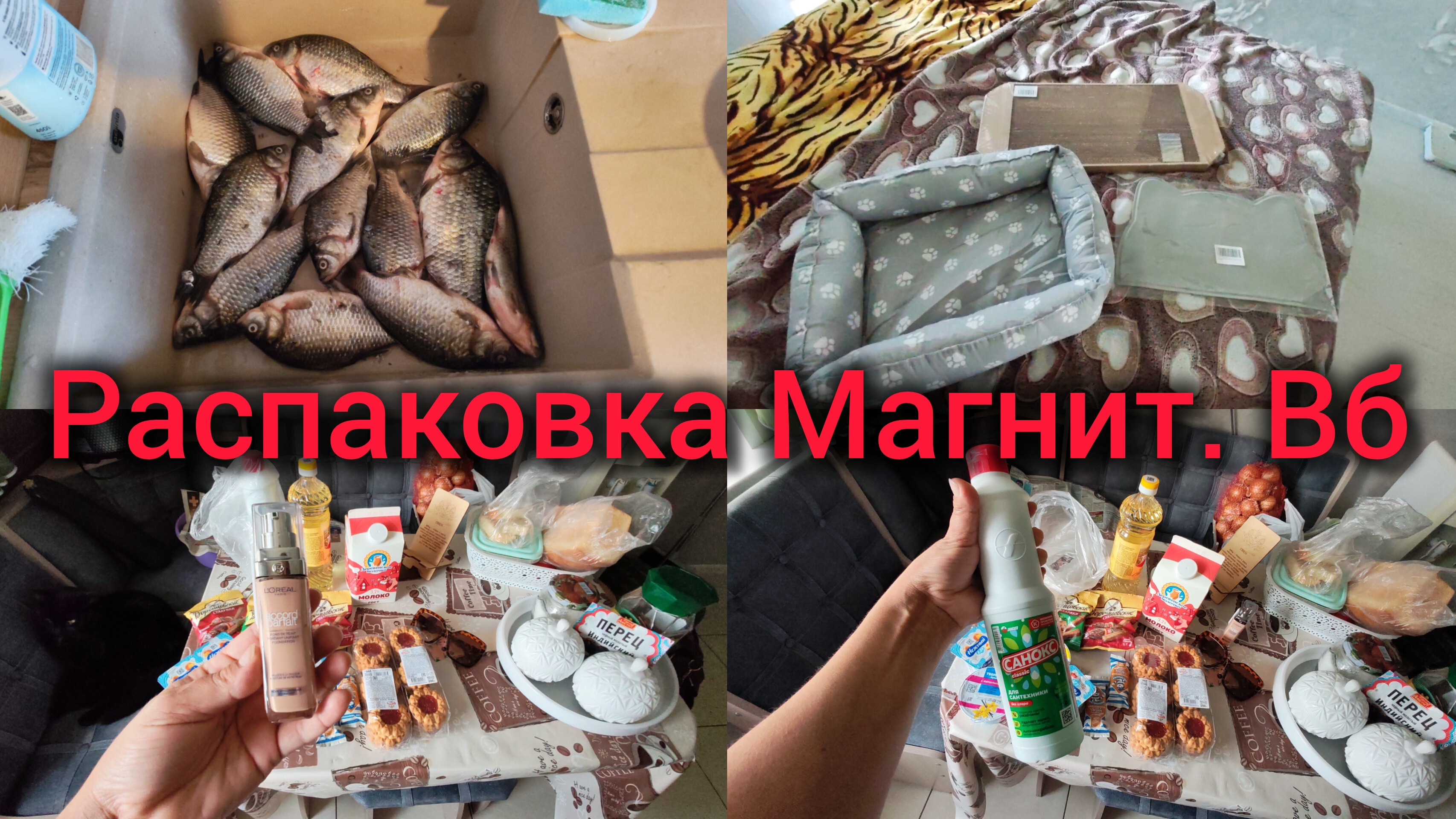 Распаковка Магнит.Вб. Обновки для Кота. Угостили Карасями.