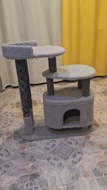 Домик_когтеточка_кошка.mp4